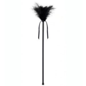 secretplay-plumero-plumas-negro-40cm-0