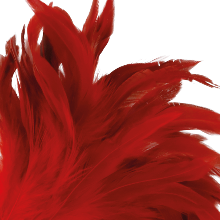 darkness-pluma-estimuladora-rojo-24cm-1
