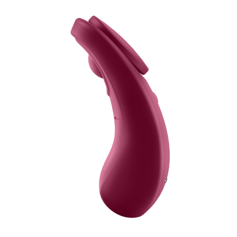 satisfyer-sexy-secret-panty-5