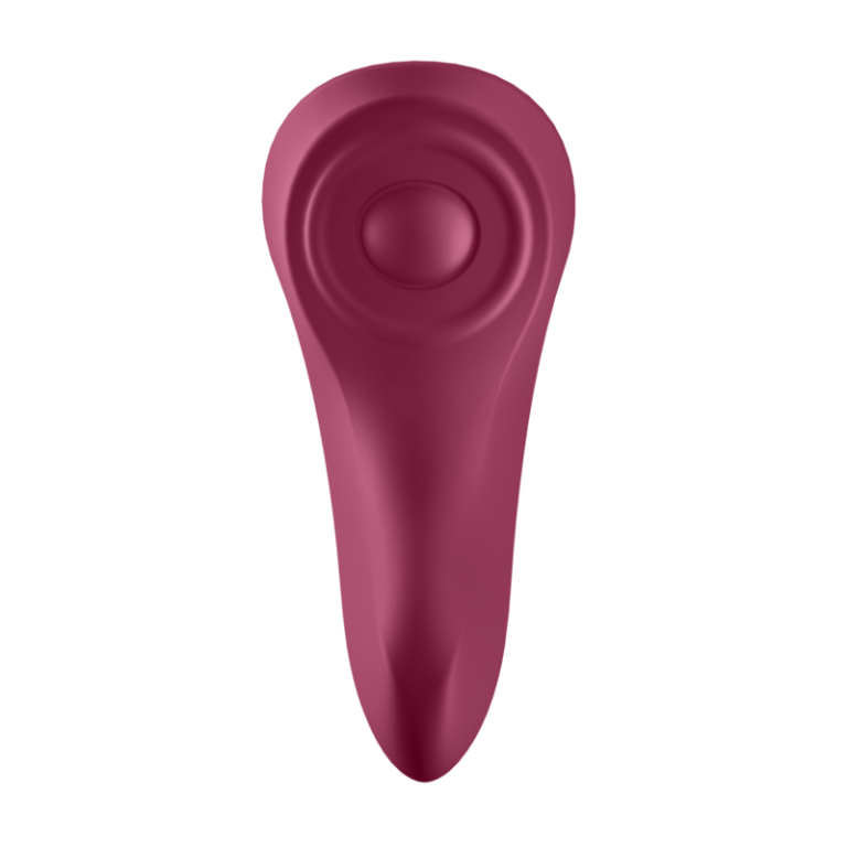 satisfyer-sexy-secret-panty-6