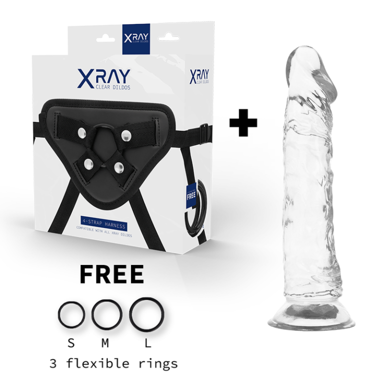 xray-arnes-+-dildo-transparente-21-cm-x-4cm-1