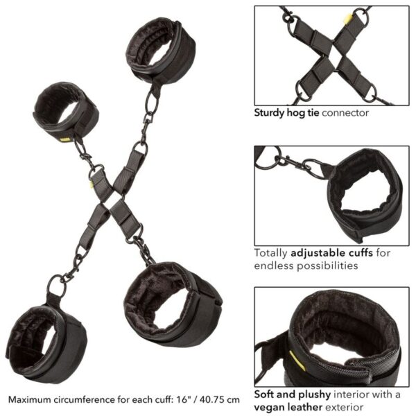 calexotics---boundless-hog-tie-3