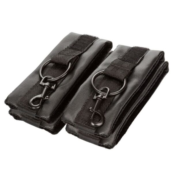 calexotics---boundless-hog-tie-4