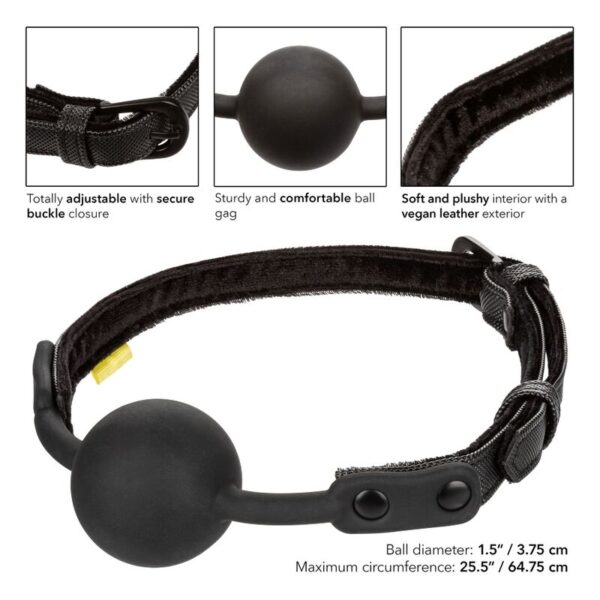 calexotics---mordaza-boundless-4