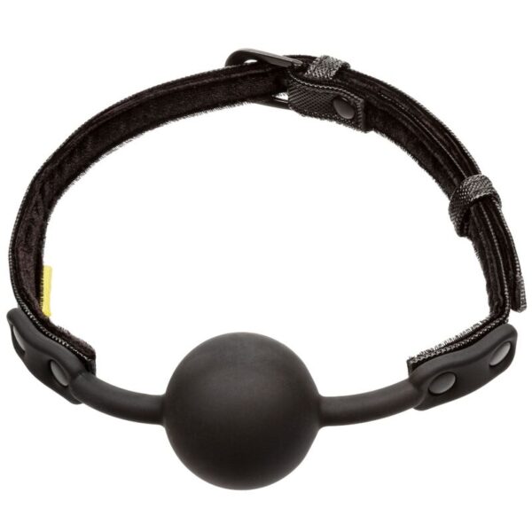 calexotics---mordaza-boundless-3