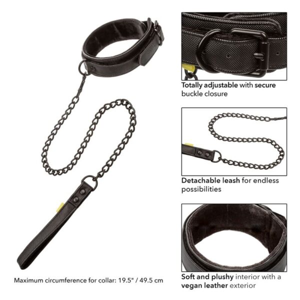 calexotics---boundless-collar-con-correa-1