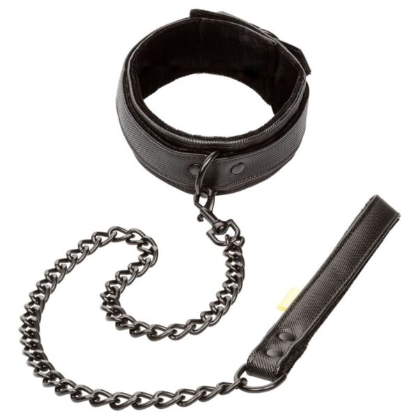 calexotics---boundless-collar-con-correa-5