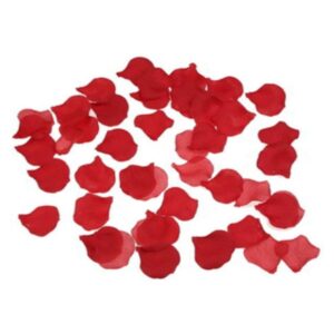 diablo-picante---100-pÉtalos-rojo-0