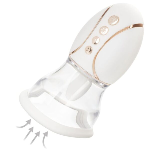 calexotics---empowered-smart-pleasure-queen-5