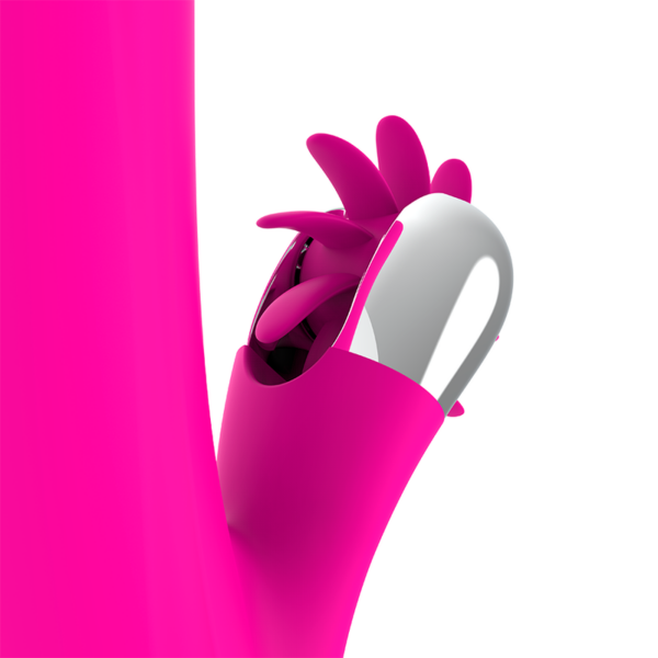 diversia---bunny-rotation-24-cm-2