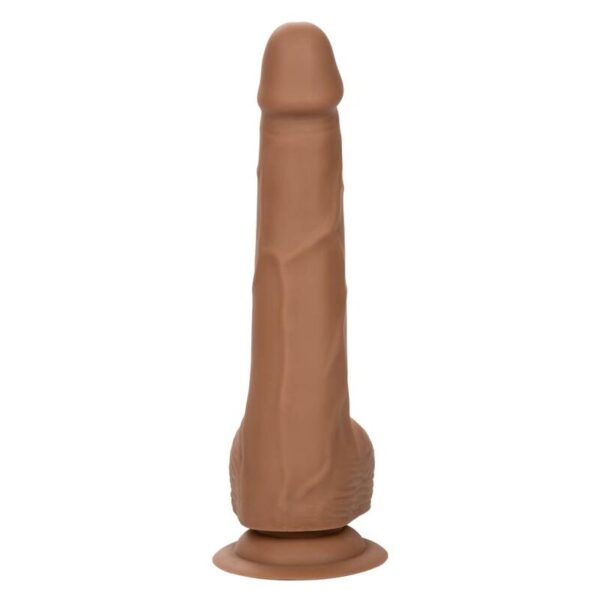 calexotics---silicone-studs-20.32-cm-brown-7