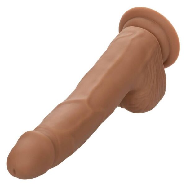calexotics---silicone-studs-20.32-cm-brown-5
