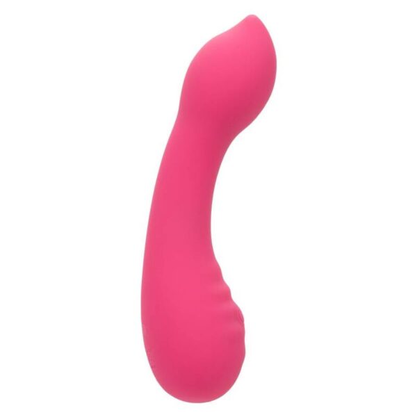 calexotics---pixies-teaser-rosa-7