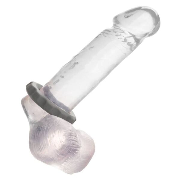 calexotics---alpha-erect-ring-gris-3