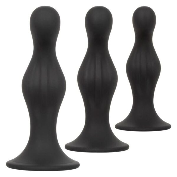 calexotics---anal-ripple-kit-5