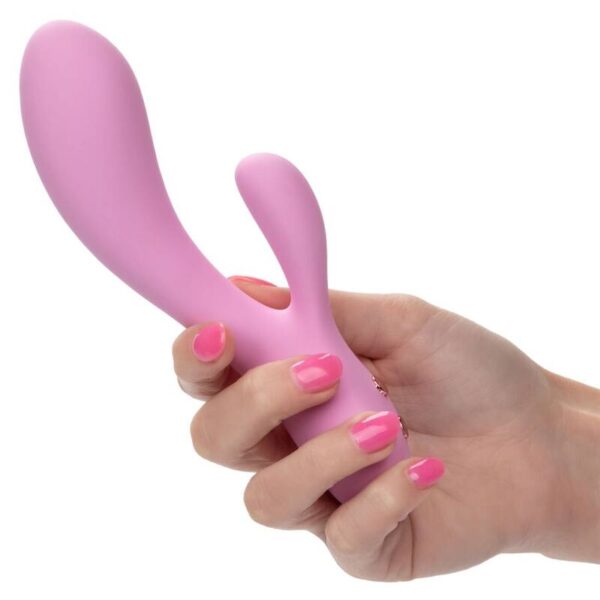calexotics---contour-zoie-rosa-6