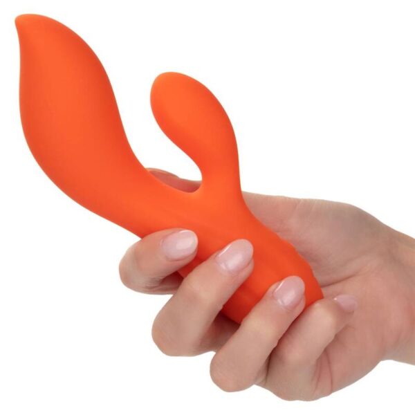 calexotics---stella-dual-teaser-naranja-4