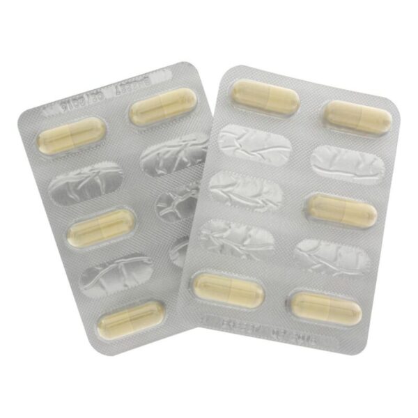 hot---exxtreme-cÁpsulas-aumento-lÍbido-mujer-10-cps-1