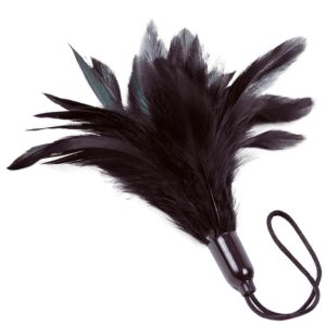 adrien-lastic---prestige-plumero-negro-0