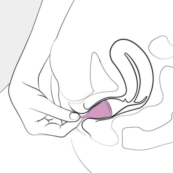 femintimate---eve-copa-menstrual-silicona---talla-l-4
