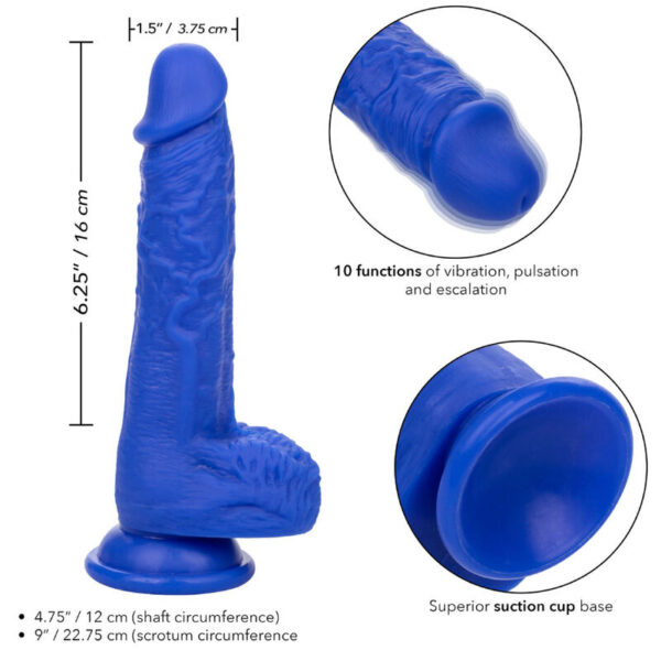 calexotics---admiral-sailor-dildo-realistico-vibrador-azul-3