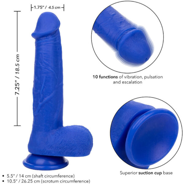 calexotics---admiral-captain-dildo-realistico-vibrador-azul-3