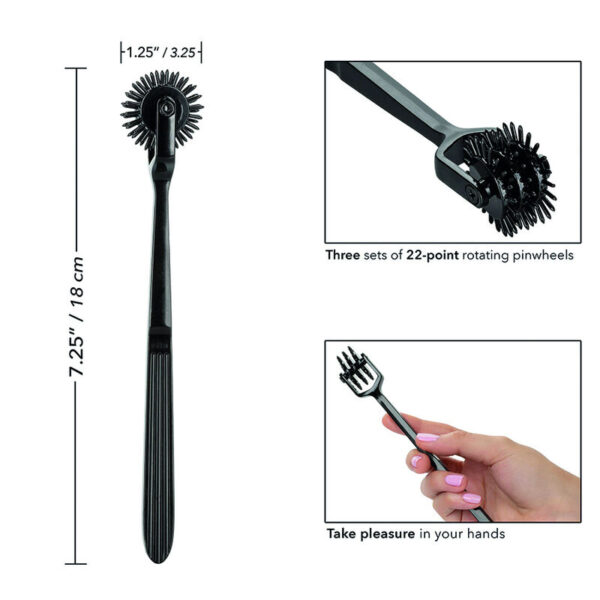calexotics---boundless-rueda-de-placer-trio-4