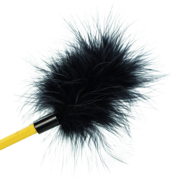 calexotics---boundless-cultivo-de-plumas-3
