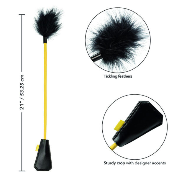 calexotics---boundless-cultivo-de-plumas-5