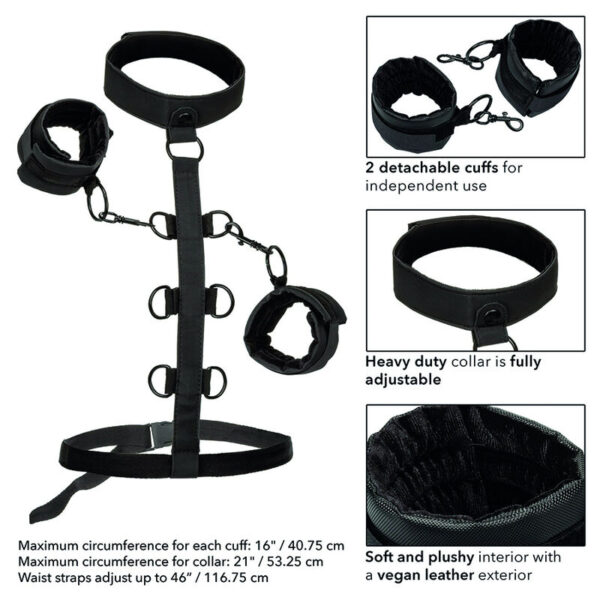 calexotics---boundless-sujecciÓn-del-cuerpo-y-el-cuello-5