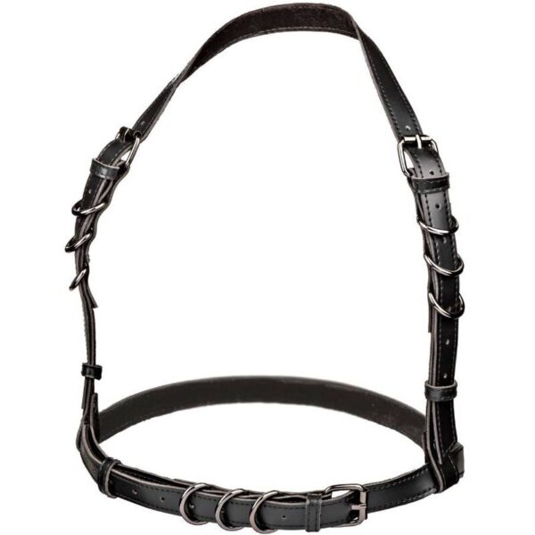 calexotics---euphoria-arnÉs-hatler-con-hebilla-negro-3