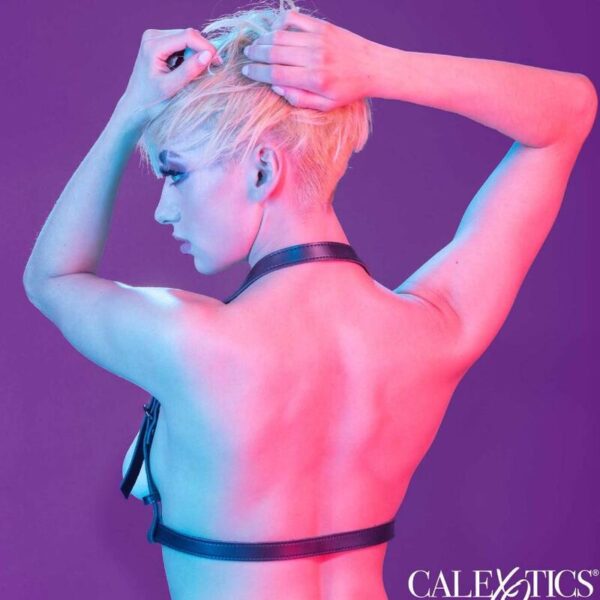 calexotics---euphoria-arnÉs-hatler-con-hebilla-negro-5