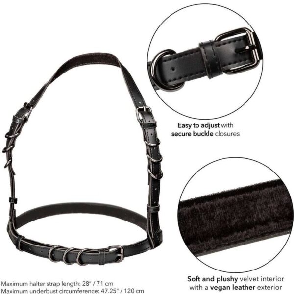 calexotics---euphoria-arnÉs-hatler-con-hebilla-talla-grande-negro-4