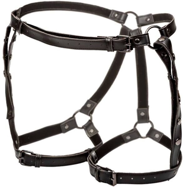 calexotics---euphoria-arnÉs-de-muslo-equitaciÓn-talla-grande-3