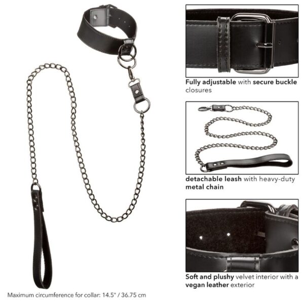 calexotics---euphoria-collar-con-correa-de-cadena-7