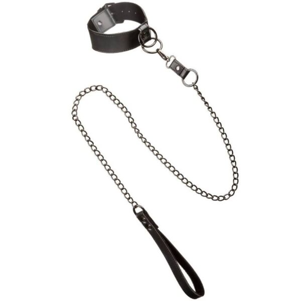 calexotics---euphoria-collar-con-correa-de-cadena-4