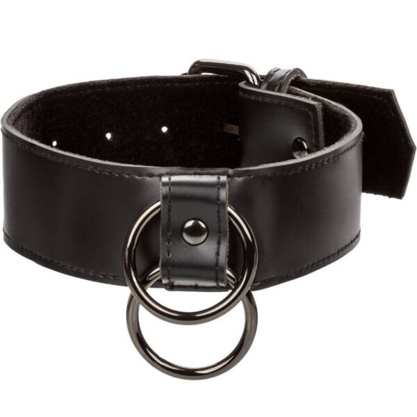 calexotics---euphoria-collar-con-correa-de-cadena-6