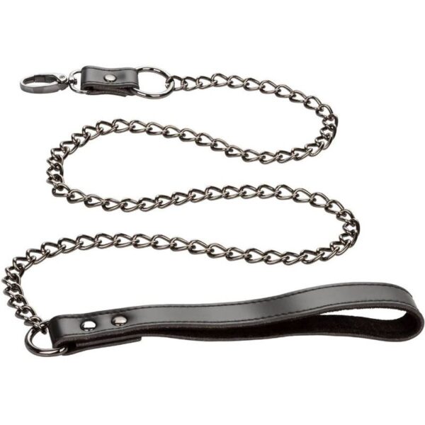 calexotics---euphoria-collar-con-correa-de-cadena-3