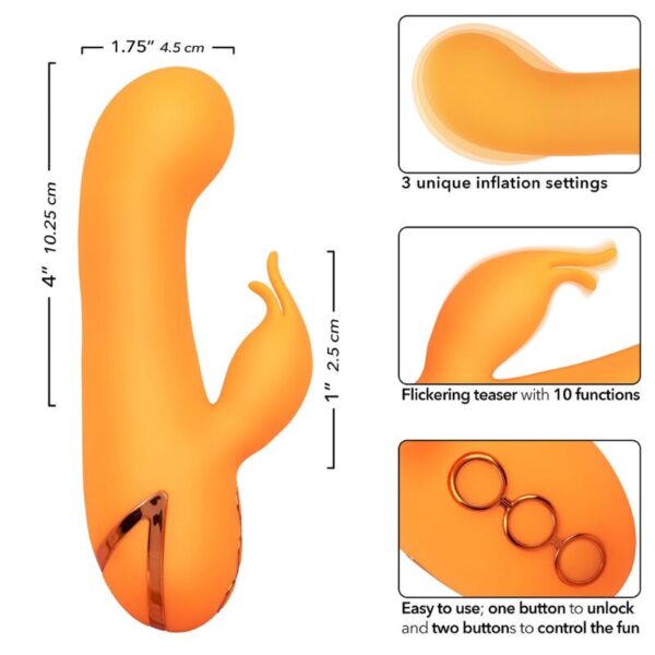 calexotics---montecito-muse-vibrador-rabbit-naranja-by-california-dreaming-6
