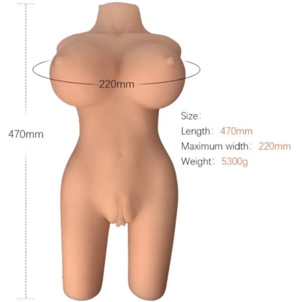 armony---torso-femenino-realistico-modelo-6-1