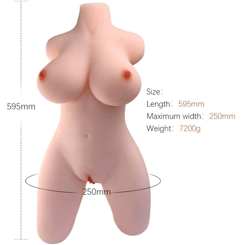 armony---torso-femenino-realistico-modelo-2-0