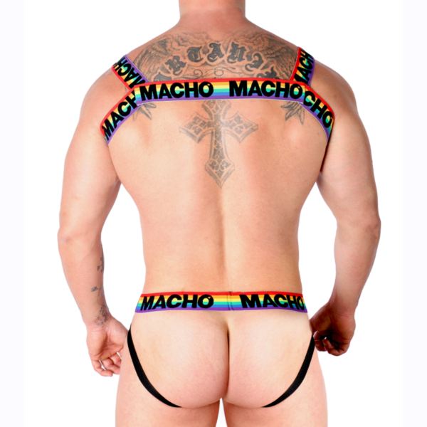 macho---arnes-doble-pride-limited-3