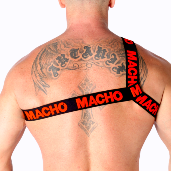 macho---arnes-romano-rojo-l/xl-3