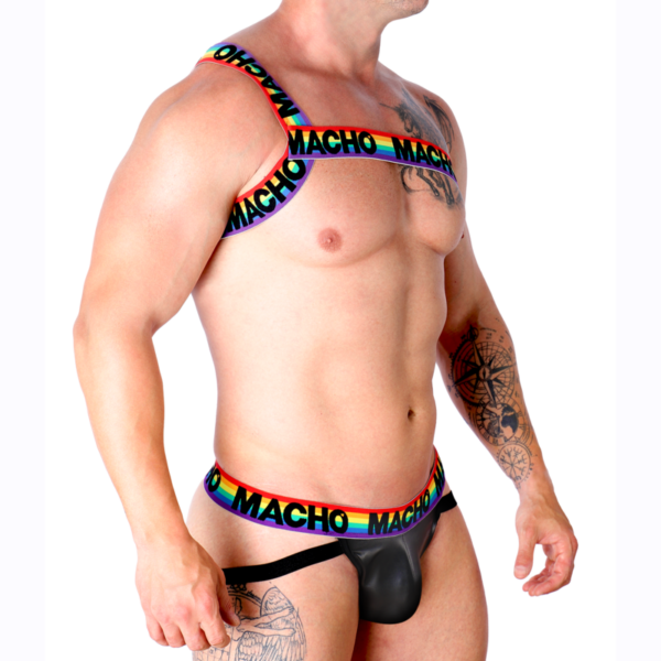 macho---arnes-romano-pride-s/m-1
