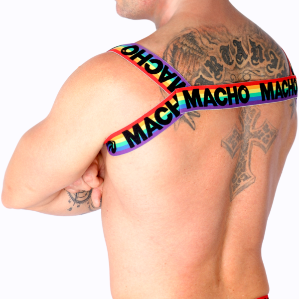macho---arnes-romano-pride-s/m-6