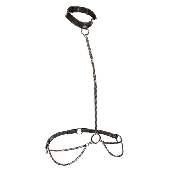 calexotics---euphoria-collar-halter-y-correa-con-cadena-1