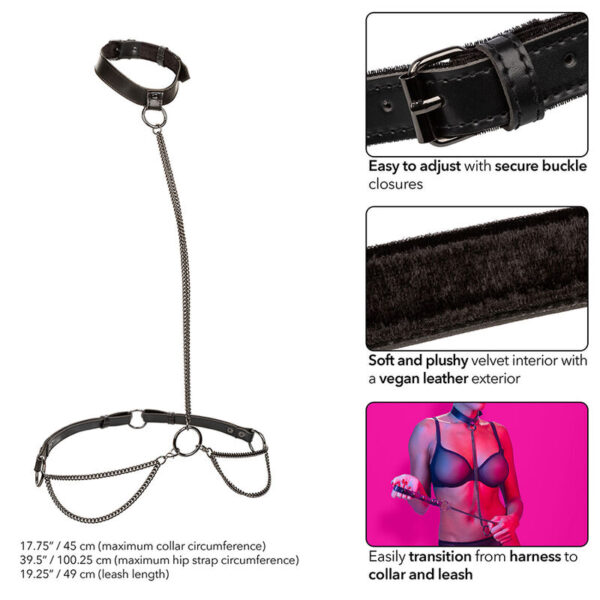 calexotics---euphoria-collar-halter-y-correa-con-cadena-2