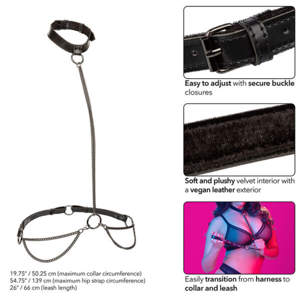 calexotics---euphoria-collar-halter-y-correa-con-cadena-talla-plus-4
