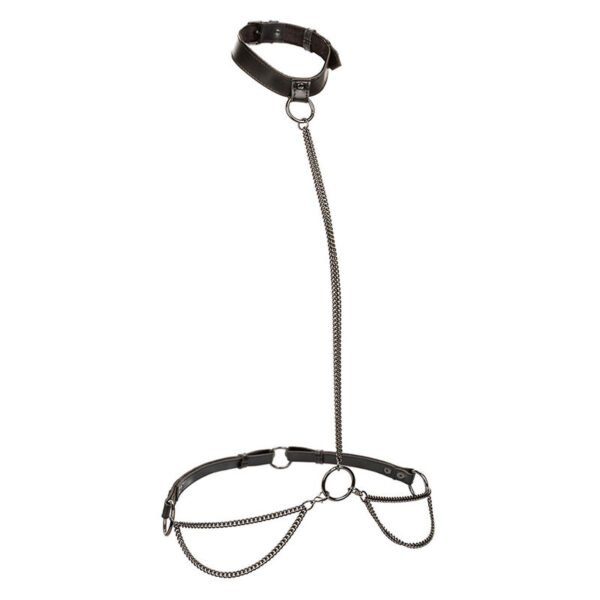 calexotics---euphoria-collar-halter-y-correa-con-cadena-talla-plus-1