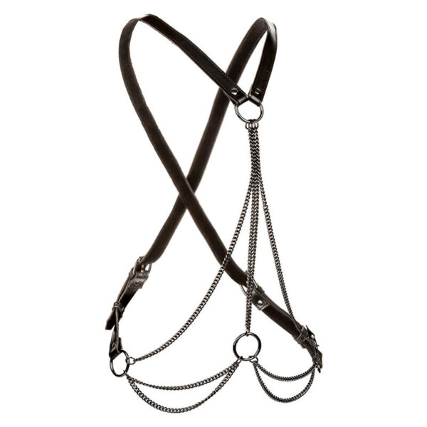 calexotics---euphoria-arnÉs-de-mÚltiples-cadenas-premium-talla-plus-1
